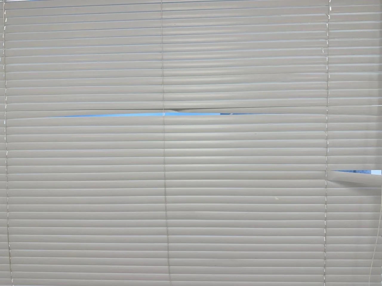 Mayfair commercial blinds cleaning after