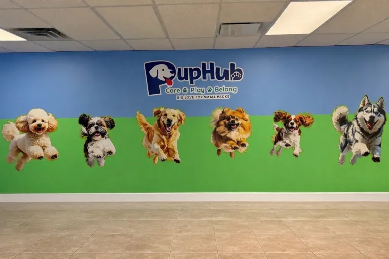 PupHub Aurora — Post-Renovation Commercial Clean